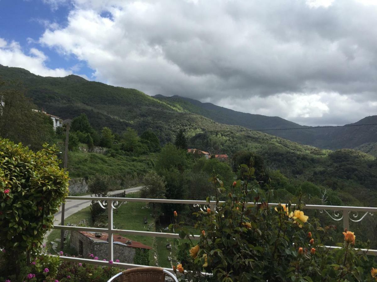 Hotel Du Tourisme Zicavo المظهر الخارجي الصورة